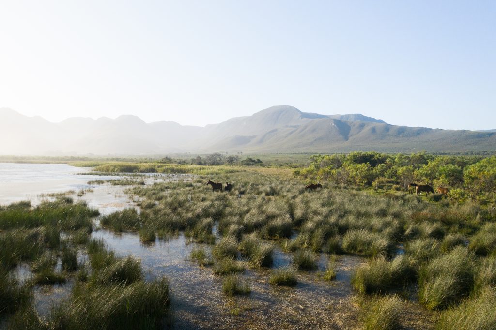 The Melkbos, Kleinmond - The Melkbos, Coastal property, Kleinmond property, coastal real estate, eco-estate, Whale Coast property, South Africa, Western Cape
