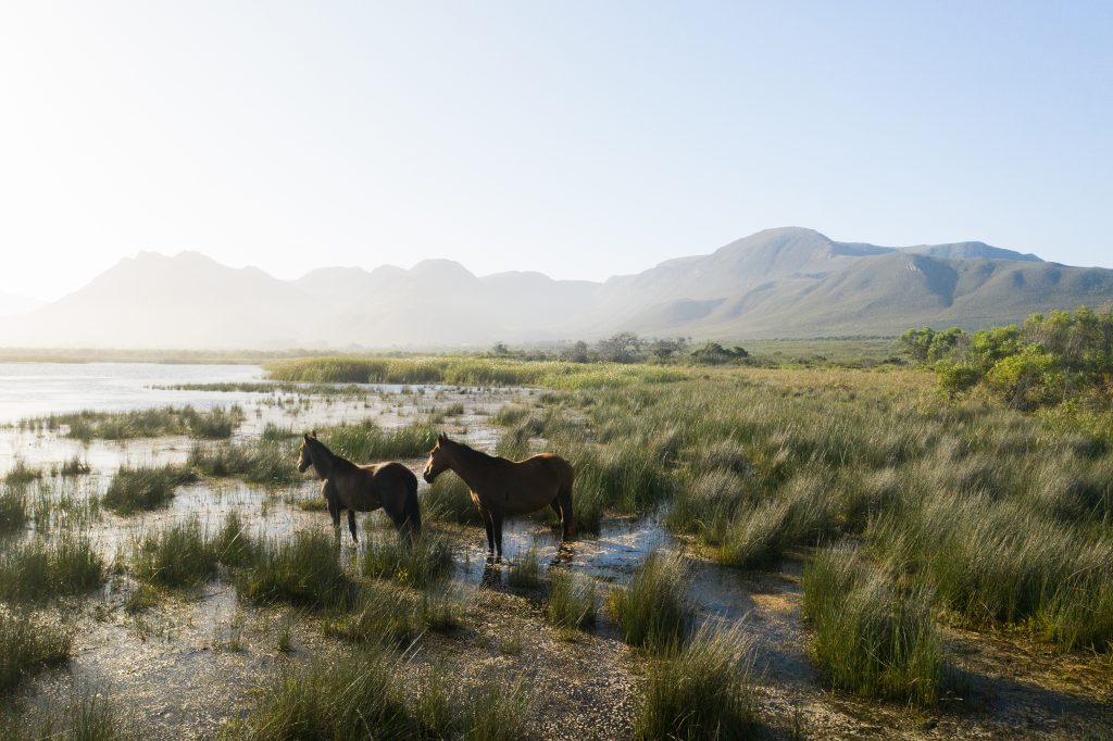 The Melkbos, Kleinmond - The Melkbos, Coastal property, Kleinmond property, coastal real estate, eco-estate, Whale Coast property, South Africa, Western Cape