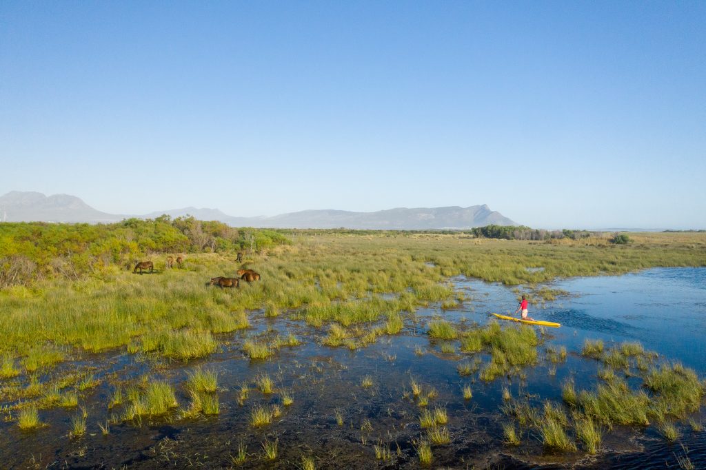 The Melkbos, Kleinmond - The Melkbos, Coastal property, Kleinmond property, coastal real estate, eco-estate, Whale Coast property, South Africa, Western Cape