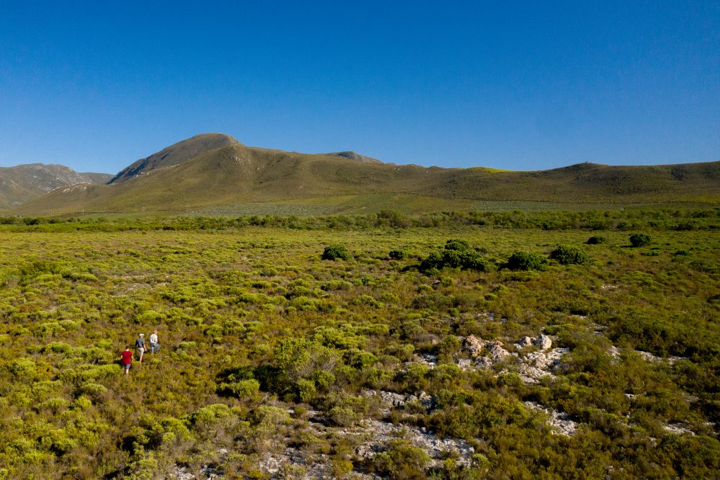 The Melkbos, Kleinmond - The Melkbos, Coastal property, Kleinmond property, coastal real estate, eco-estate, Whale Coast property, South Africa, Western Cape