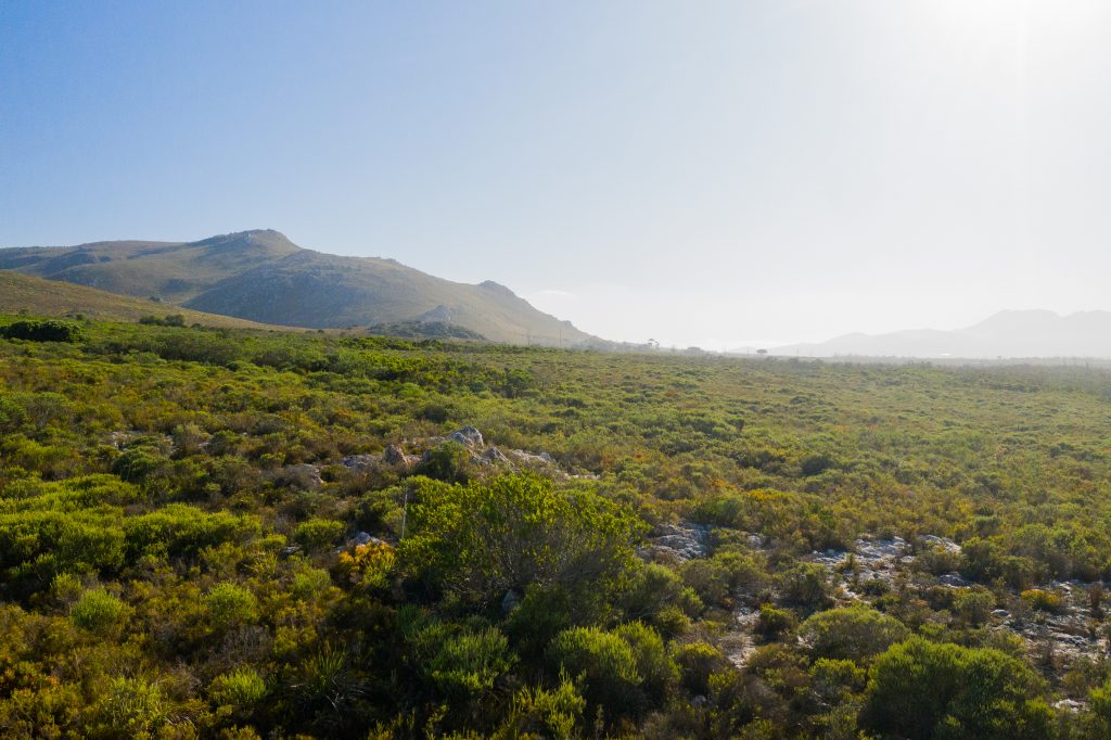 The Melkbos, Kleinmond - The Melkbos, Coastal property, Kleinmond property, coastal real estate, eco-estate, Whale Coast property, South Africa, Western Cape