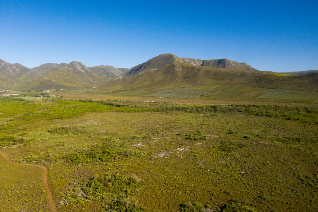 The Melkbos, Kleinmond - The Melkbos, Coastal property, Kleinmond property, coastal real estate, eco-estate, Whale Coast property, South Africa, Western Cape