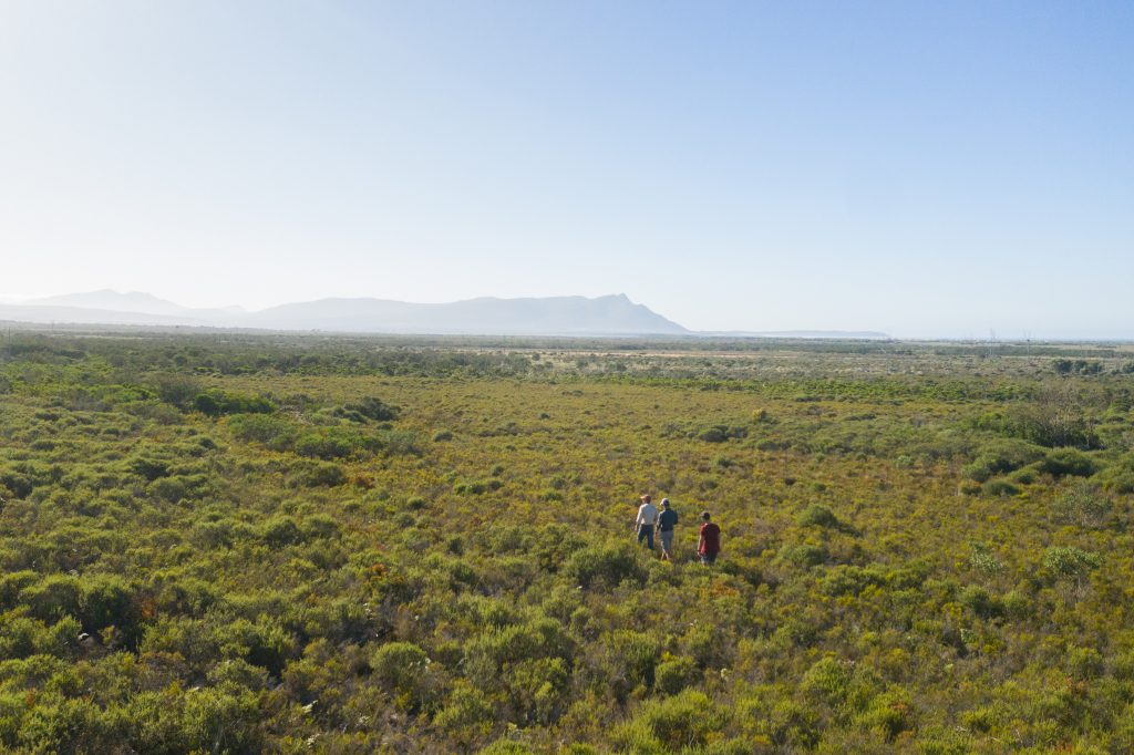 The Melkbos, Kleinmond - The Melkbos, Coastal property, Kleinmond property, coastal real estate, eco-estate, Whale Coast property, South Africa, Western Cape