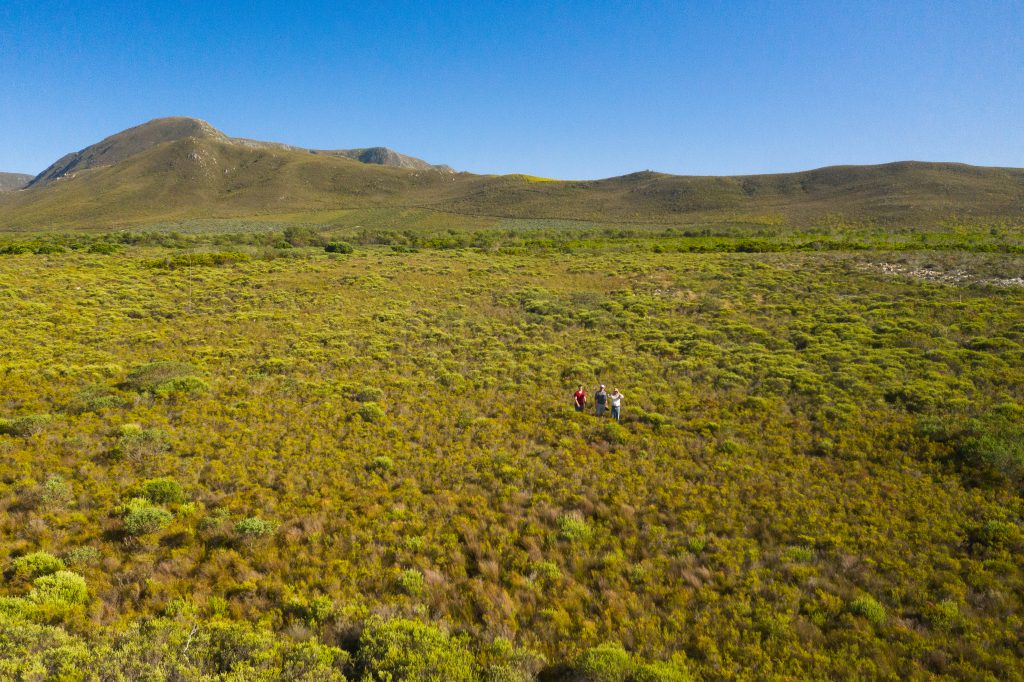 The Melkbos, Kleinmond - The Melkbos, Coastal property, Kleinmond property, coastal real estate, eco-estate, Whale Coast property, South Africa, Western Cape